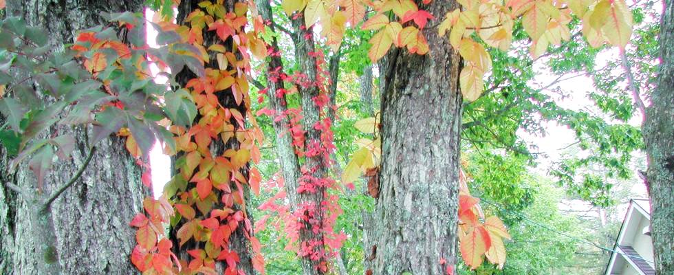 素泊りの宿天空のライブハウス・ピラタス2
